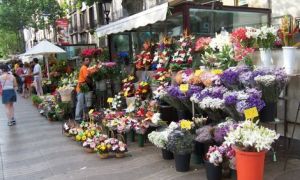 Цветочный бизнес: организация цветочного бизнеса