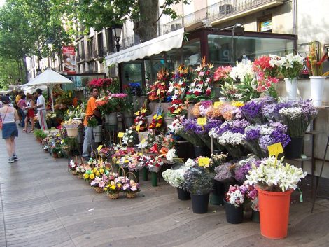 продажа цветов как бизнес